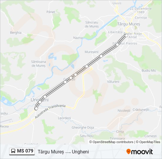 MS 079 bus Line Map