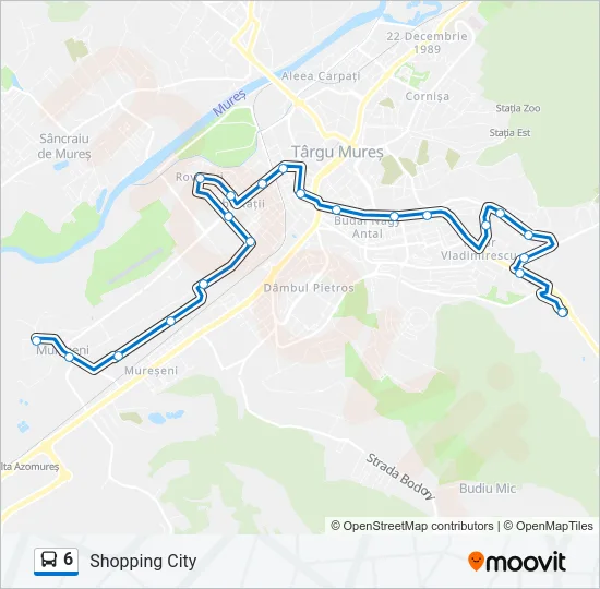 6 Bus Line Map
