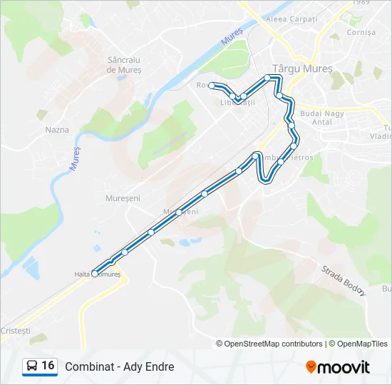 16 Bus Line Map