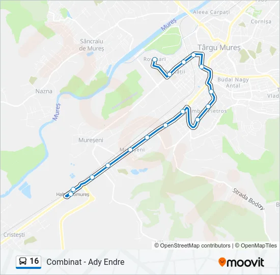 16 Bus Line Map