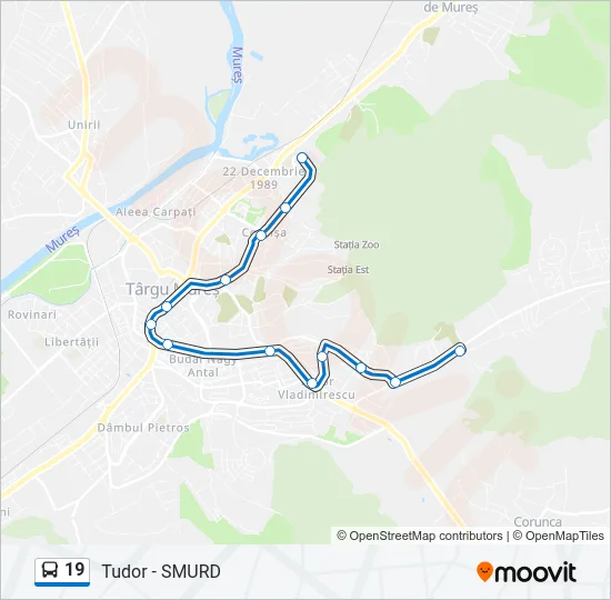 19 Bus Line Map