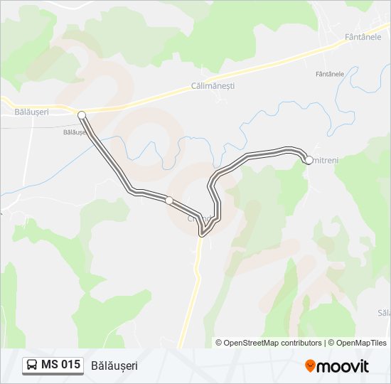 MS 015 bus Line Map