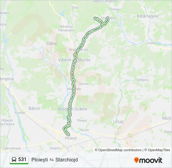 531 Bus Line Map