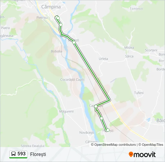 593 Bus Line Map
