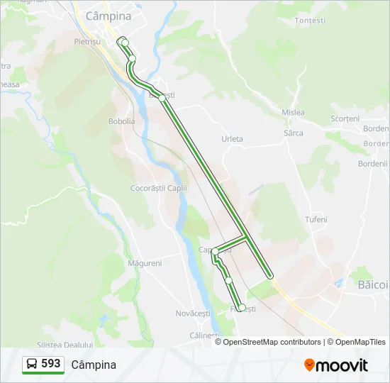 593 Bus Line Map