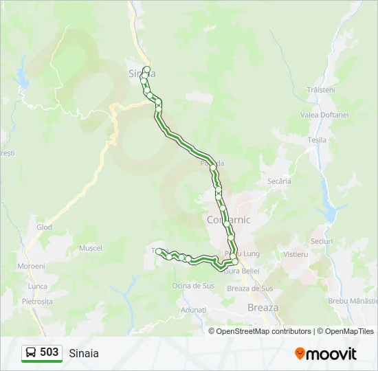 503 Bus Line Map