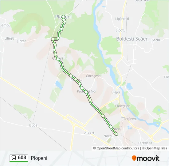 603 Bus Line Map