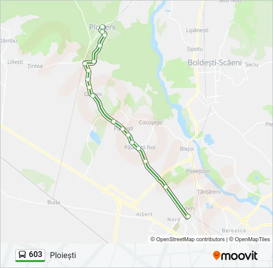 603 Bus Line Map