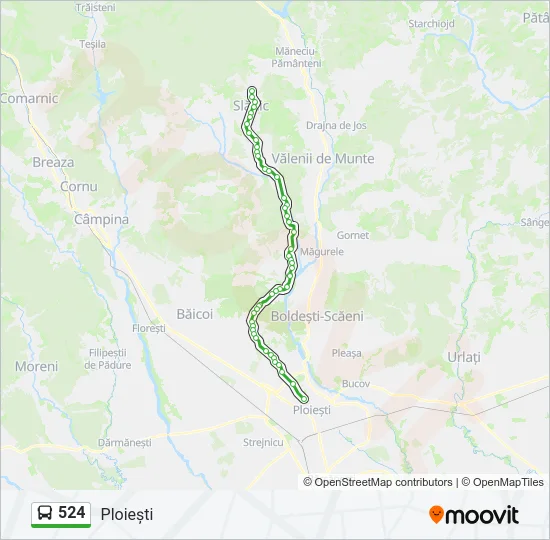 524 Bus Line Map