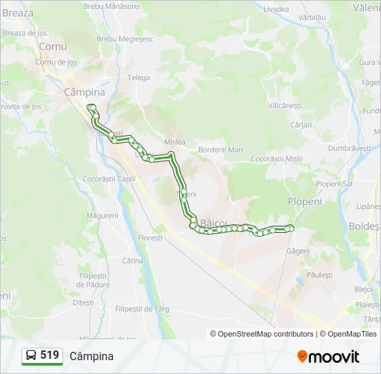 519 Bus Line Map