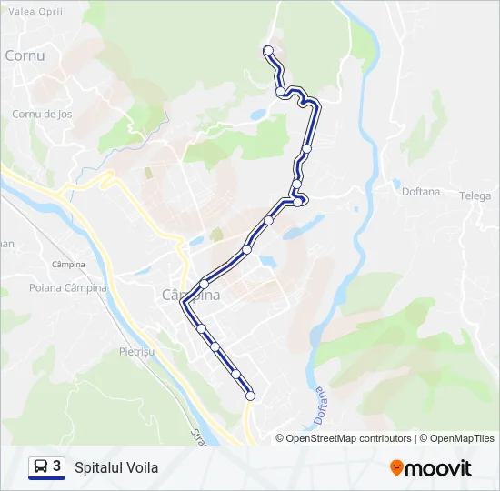 3 Bus Line Map