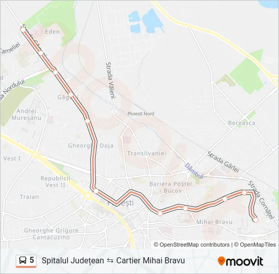 5 Bus Line Map