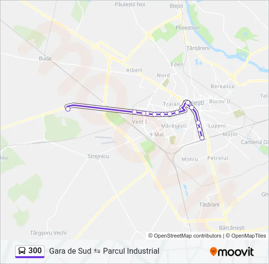 300 Bus Line Map