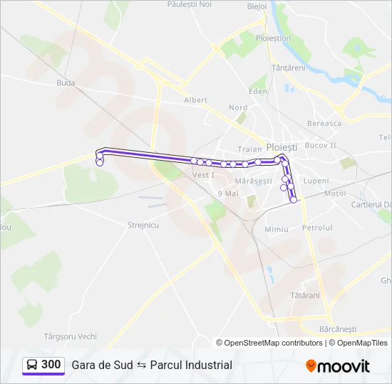 300 Bus Line Map