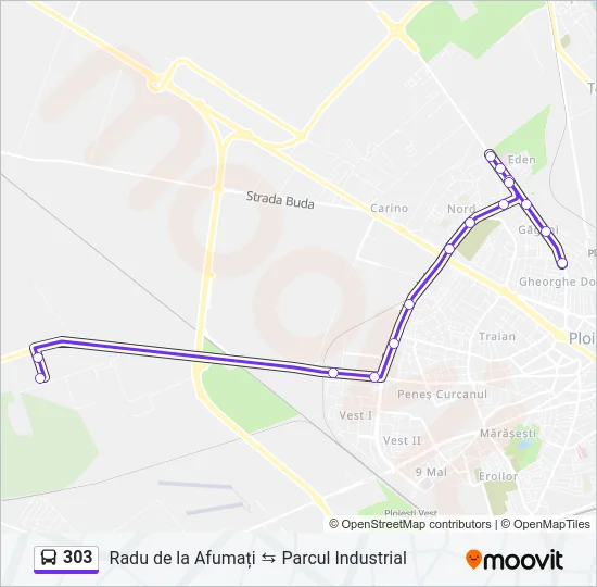 303 Bus Line Map