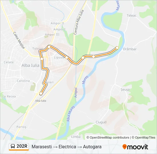 202R Bus Line Map