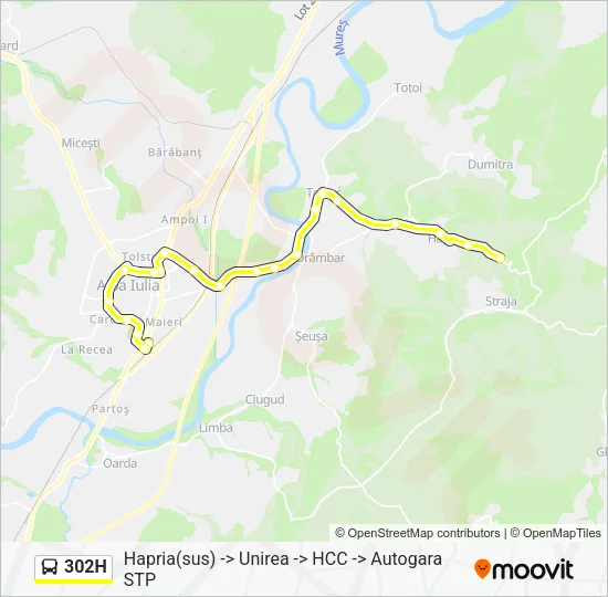 302H Bus Line Map