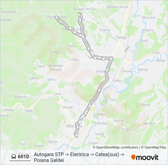 601D Bus Line Map