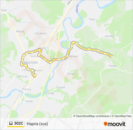 302C Bus Line Map