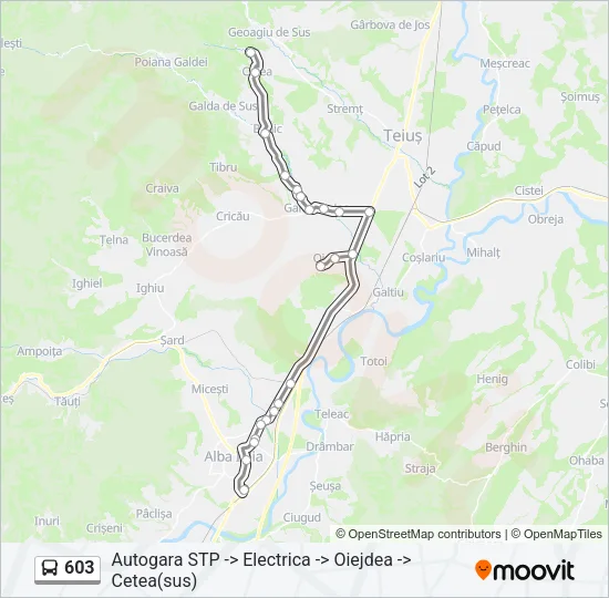 603 Bus Line Map