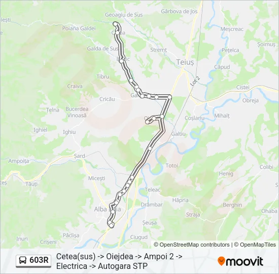 603R Bus Line Map