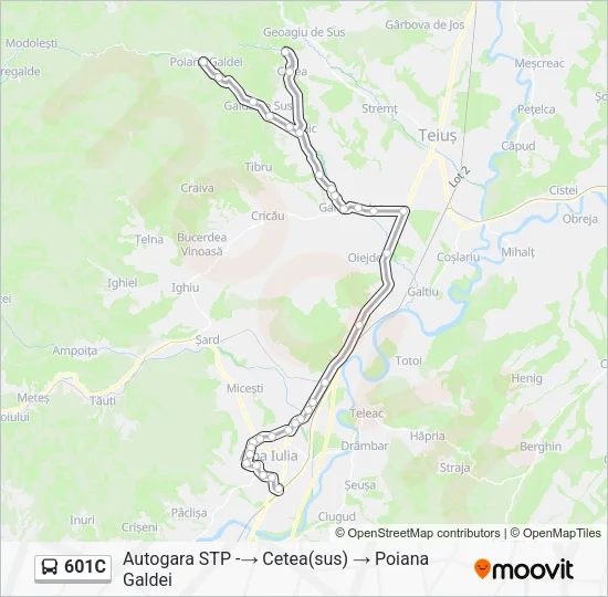 601C Bus Line Map