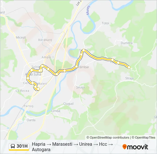 301H Bus Line Map
