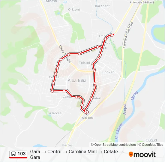 103 Bus Line Map