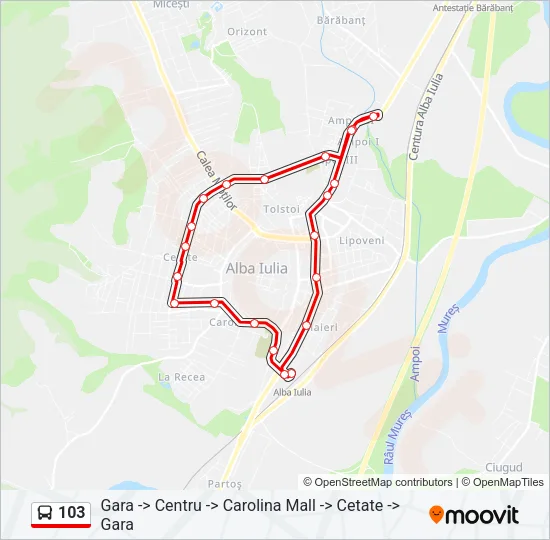 103 Bus Line Map