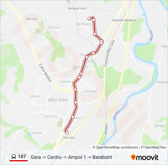 107 Bus Line Map