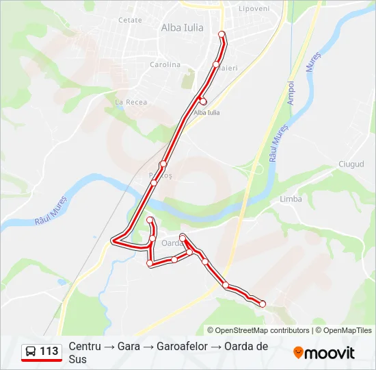 113 Bus Line Map