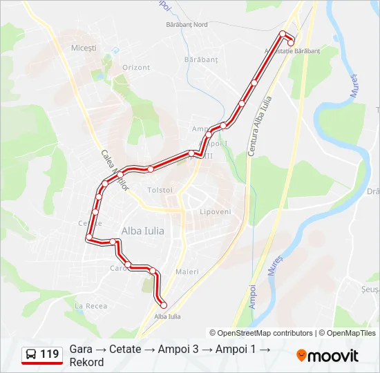 119 Bus Line Map