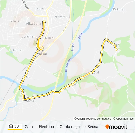 301 Bus Line Map