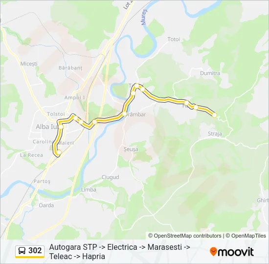302 Bus Line Map