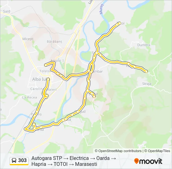 303 Bus Line Map