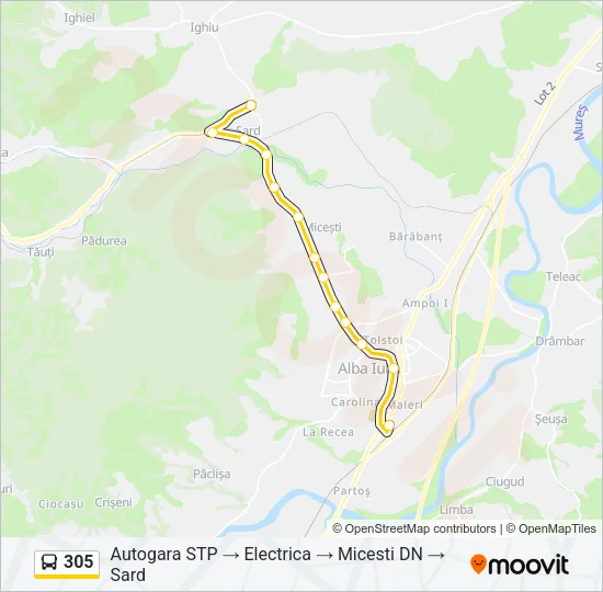 305 Bus Line Map