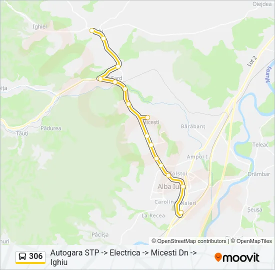 306 Bus Line Map
