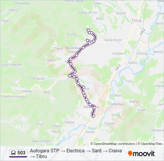503 Bus Line Map