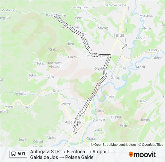 601 Bus Line Map