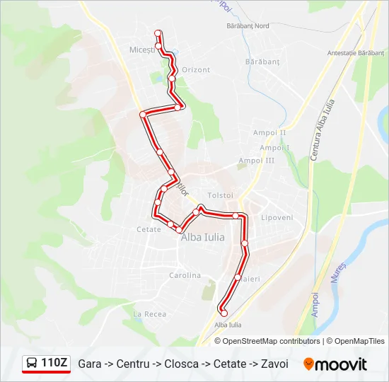 110Z Bus Line Map