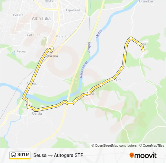 301R Bus Line Map