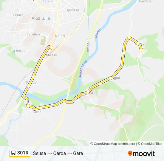 301R Bus Line Map
