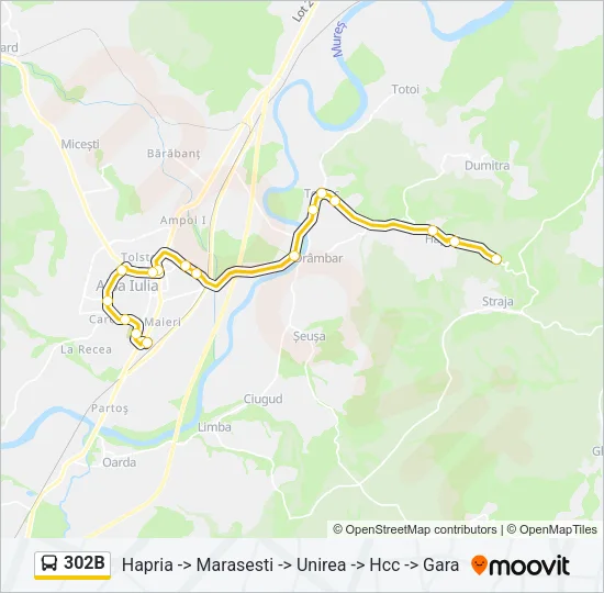302B Bus Line Map
