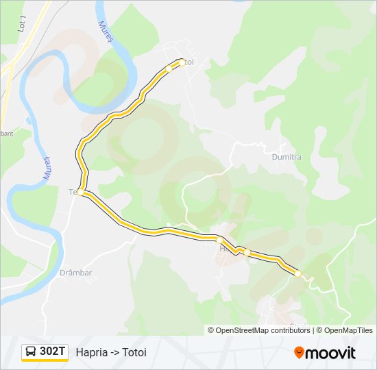 302T Bus Line Map
