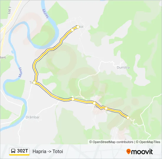 302T Bus Line Map