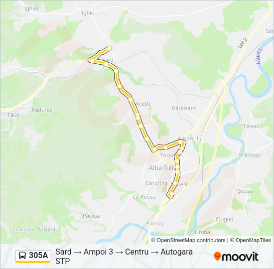 305A Bus Line Map