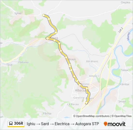 306R Bus Line Map