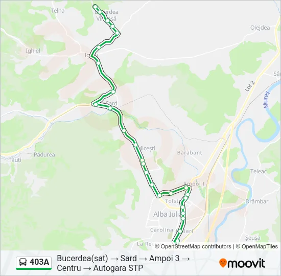 403A Bus Line Map