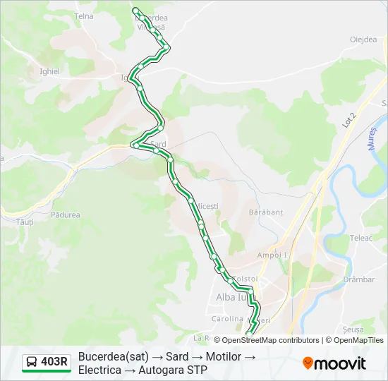 403R Bus Line Map