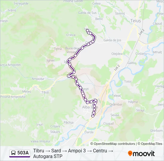 503A Bus Line Map